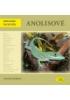 Anolisové - Abeceda teraristy